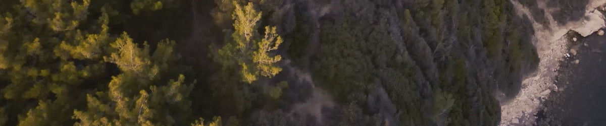 Ein Feld voller Olivenbäume, alles aus eigenem Anbau.