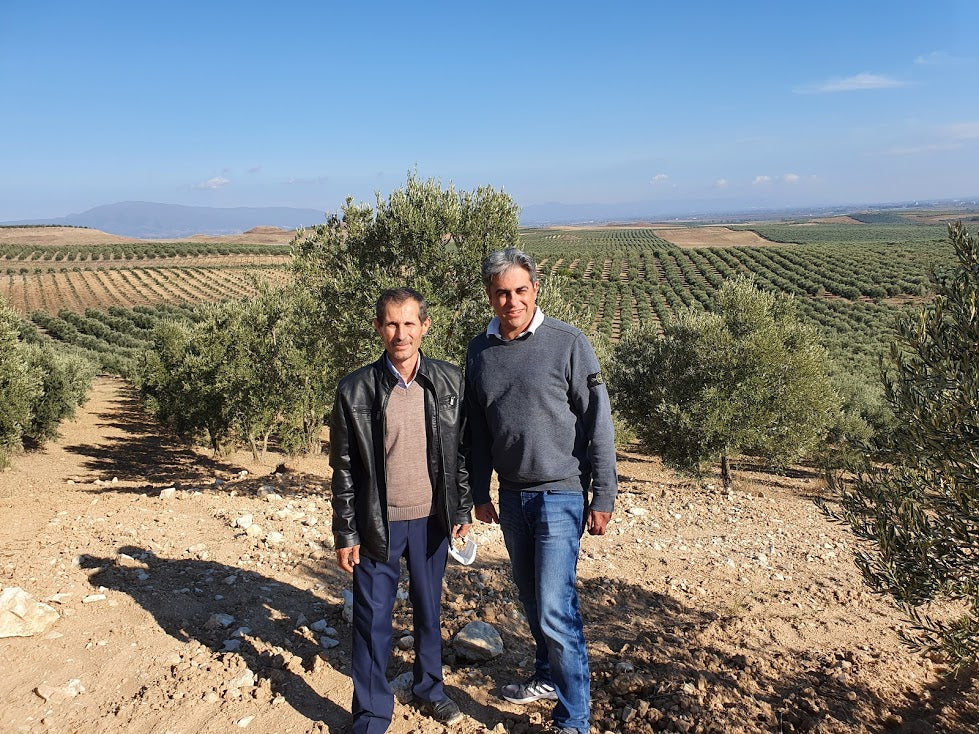 Bio-Olivenöl aus der Türkei – natives Olivenöl extra von Corovita – Produktbild 4