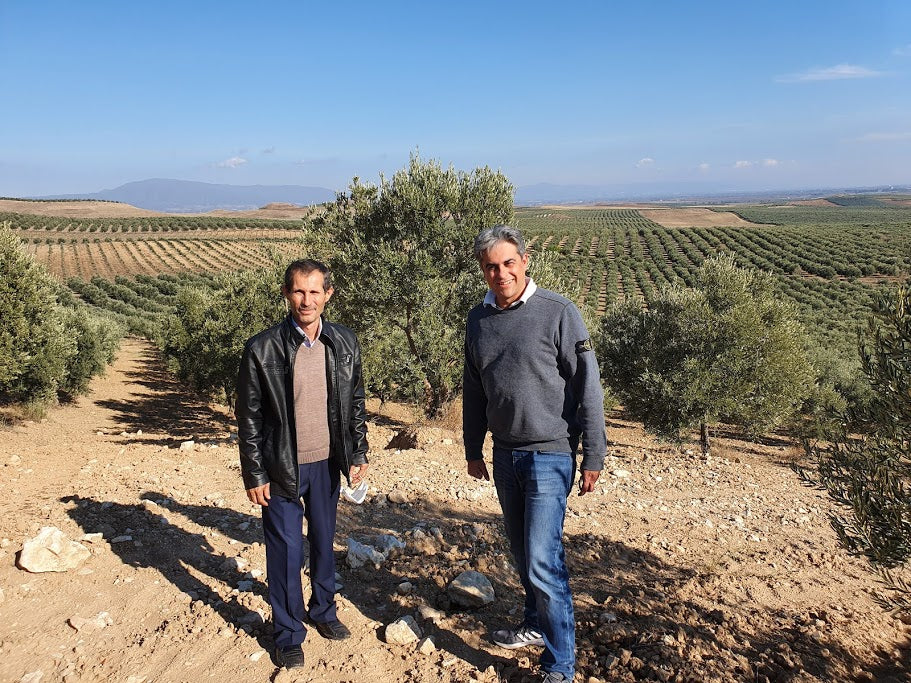 Bio-Olivenöl aus Türkei und Griechenland – natives Olivenöl extra, Corovita – Produktbild 3