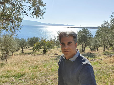Bio-Olivenöl Single-Estate aus der Türkei von Corovita – Produktbild 4